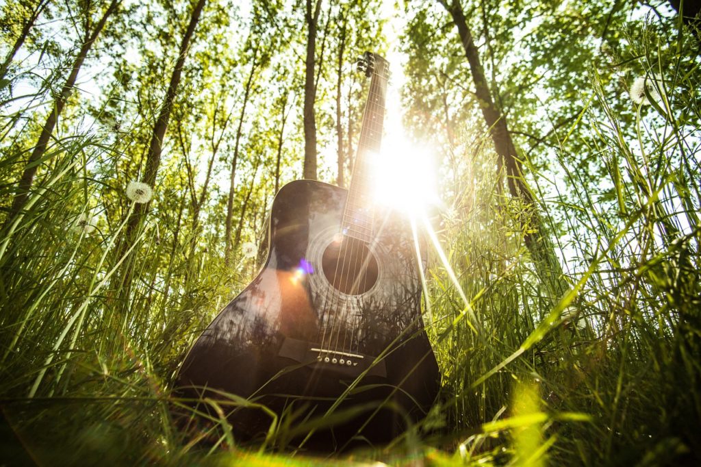 Guitar
