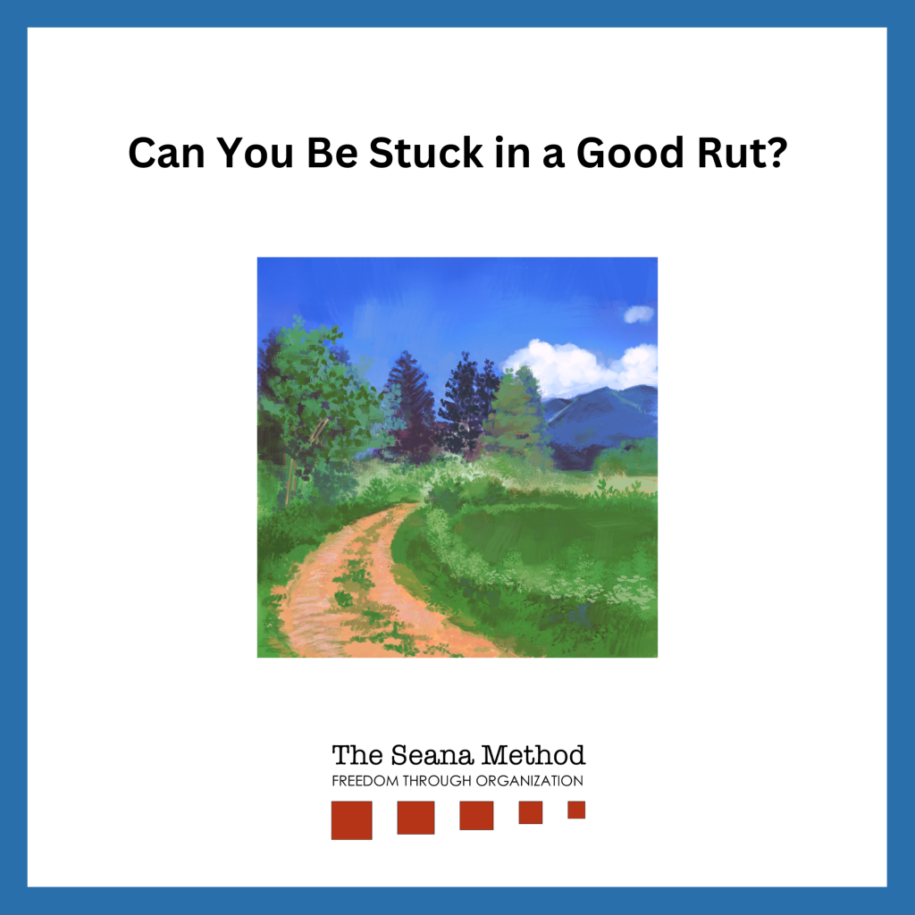 Graphic of a brown path in a green field with a blue ski and trees behind and the words Can You Be Stuck in a Good Rut?